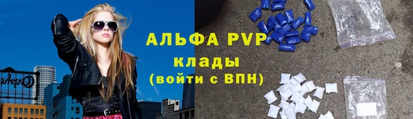шишки Белоозёрский