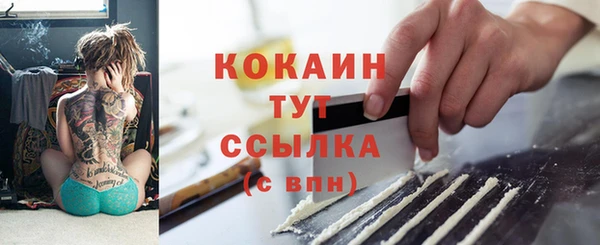 бошки Белокуриха