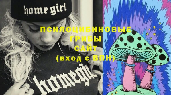 шишки Белоозёрский