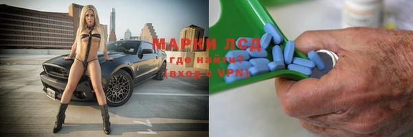 шишки Белоозёрский