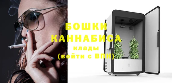 шишки Белоозёрский
