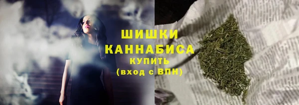 бошки Белокуриха