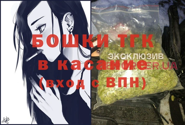 шишки Белоозёрский