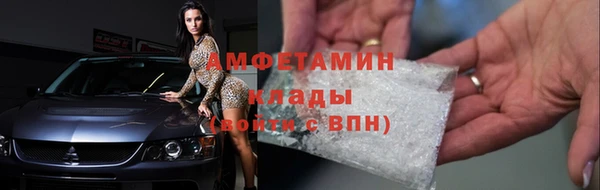 шишки Белоозёрский