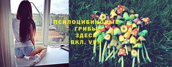 шишки Белоозёрский