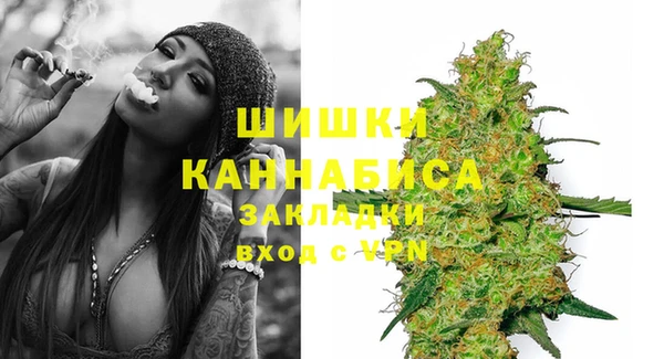 шишки Белоозёрский