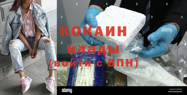 бошки Белокуриха
