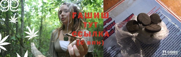 шишки Белоозёрский